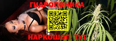 jwh Нарткала