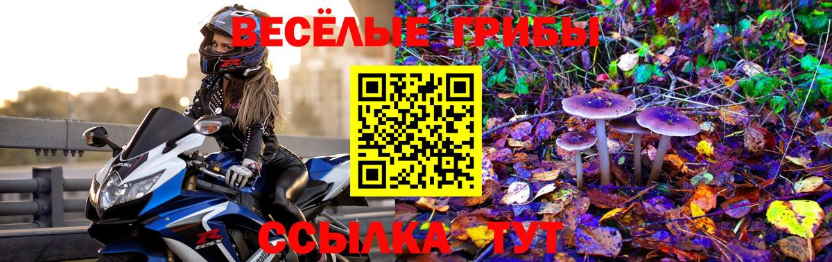 Галлюциногенные грибы мицелий  Вход с VPN  Сибай 