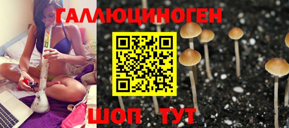 Галлюциногенные грибы ЛСД Сибай